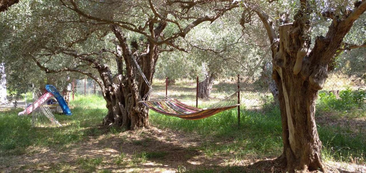 The Small House In The Olive Grove Lefokastro Exterior foto